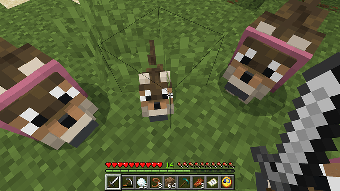Screenshot (8991)