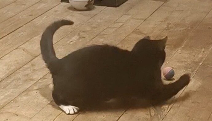 Screenshot_2023-04-23-23-31-14-787_com.miui.gallery-edit