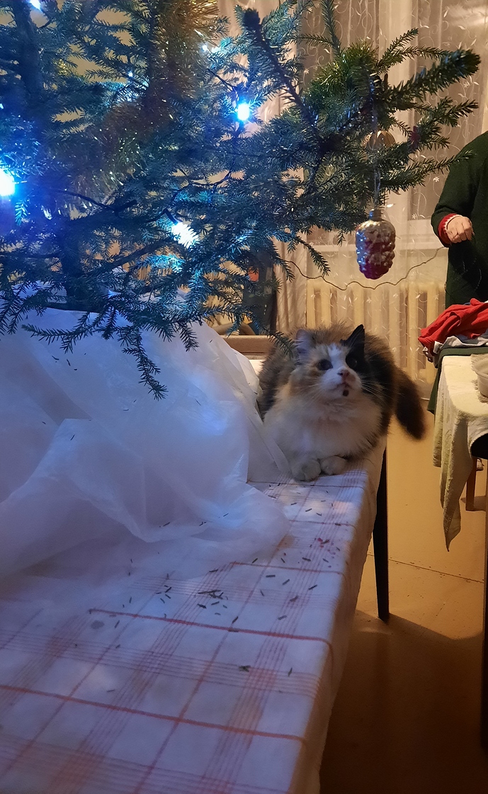 Edited 20201231_165935