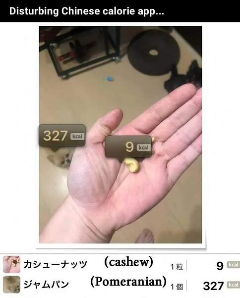 1000090573