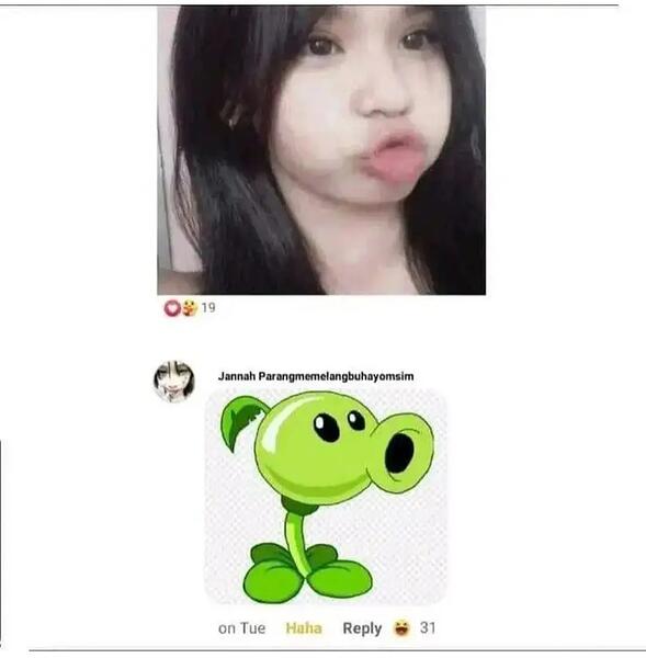 1000032491