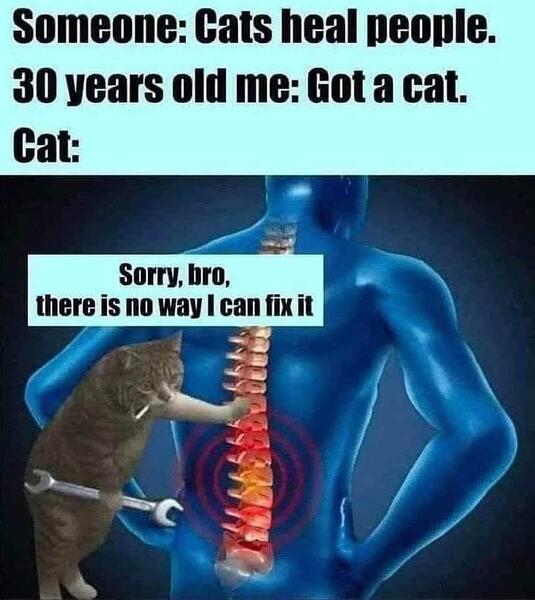 1000086623