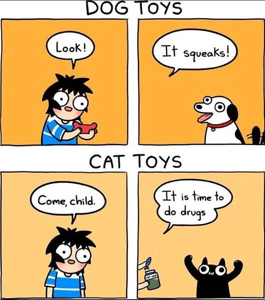 1000043692