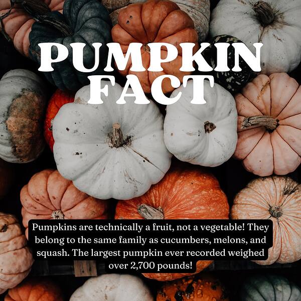 pumpkin fact
