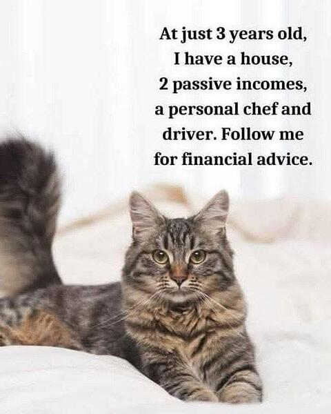 FB_IMG_1752331370145