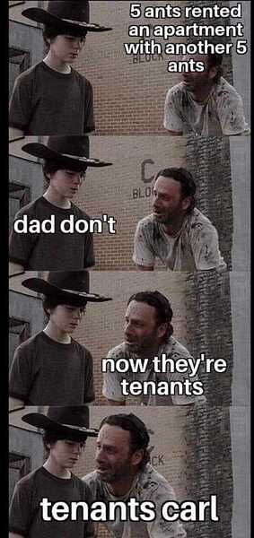 1000020260