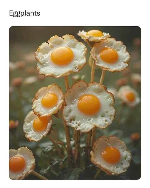 FB_IMG_1716213060952
