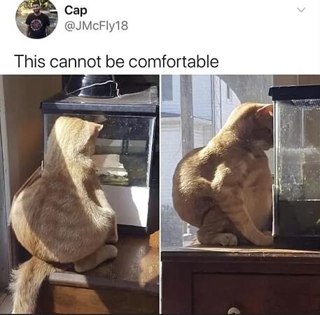 uncomfortable orang.PNG
