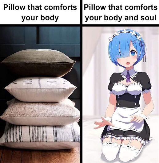 43127245520