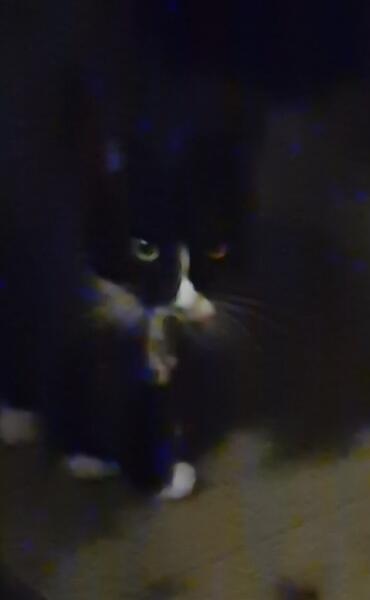 Screenshot_20250919_094823_Photos