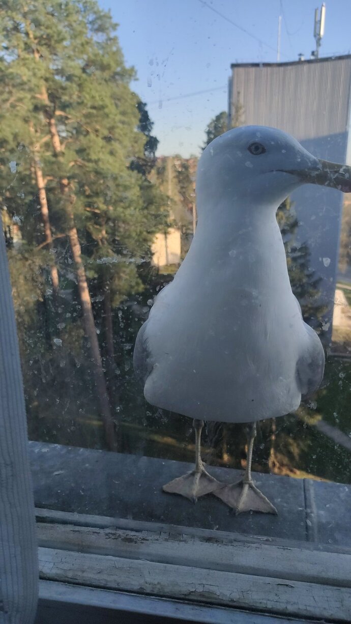 IMG-2147051d2829d3c600fab88829898229-V