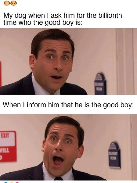 Screenshot_20250217-033802_Chrome