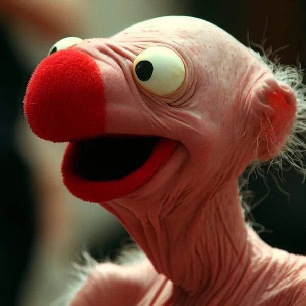 Hairless-Elmo-1705561554722