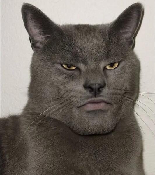 I-saw-this-horror-and-decided-to-inflict-it-on-everyone-else-1756633397987