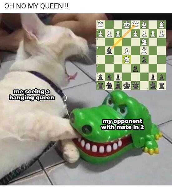 Screenshot_20250126-173403_Chrome