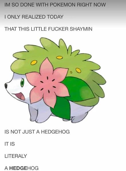 1000041943