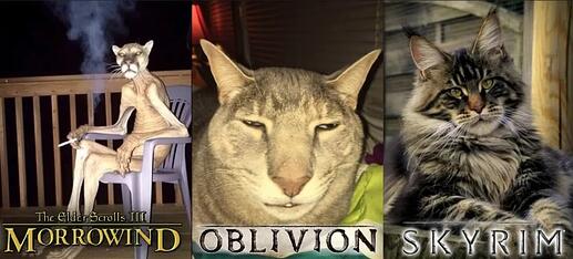 khajiit chart.PNG