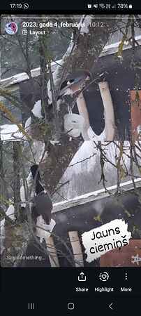 Screenshot_20250216_171927_Instagram