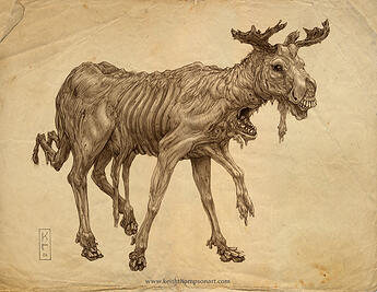 moose