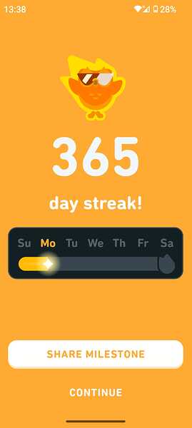 WhatsApp Image 2024-08-12 at 13.40.31_311d4987