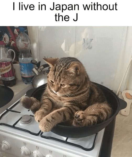 Screenshot_2025-10-16_154358