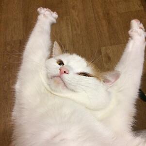 10e998de6e8348a28a9abf91b1cd62a8b3724571a7e3974702c175bc92a6c209