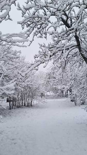 WhatsApp Image 2025-02-01 at 17.17.18