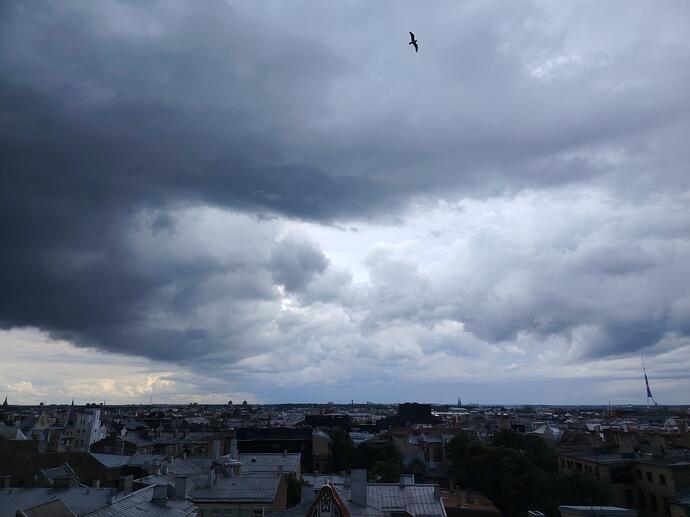Pilsētas ainava ar tumšiem mākoņiem un putnu debesīs. (Captioned by AI)