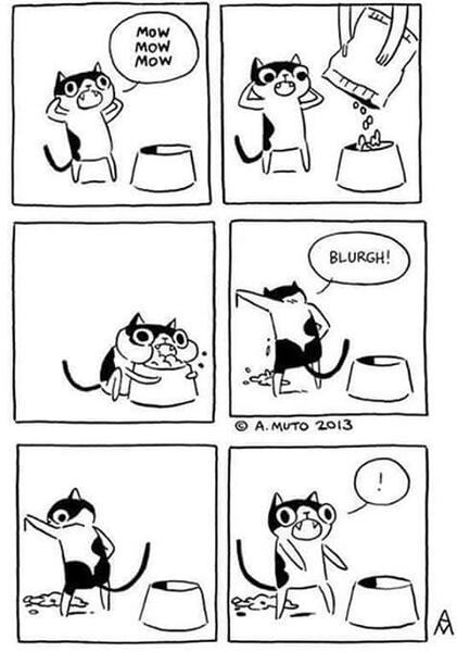 cats