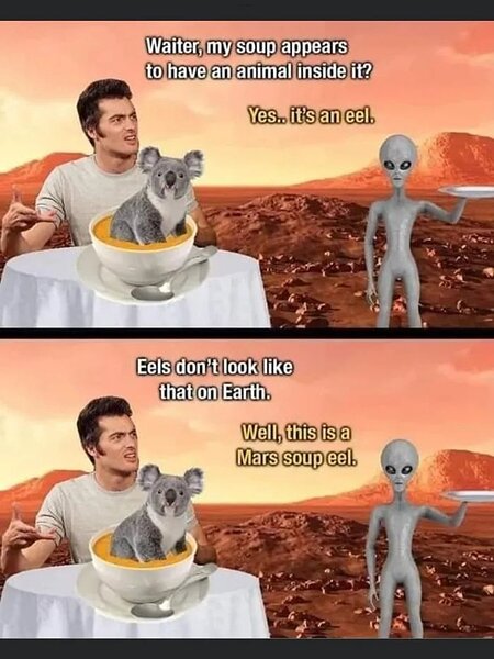 1000004650