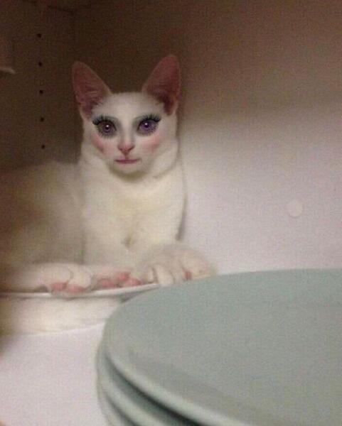 1000038813