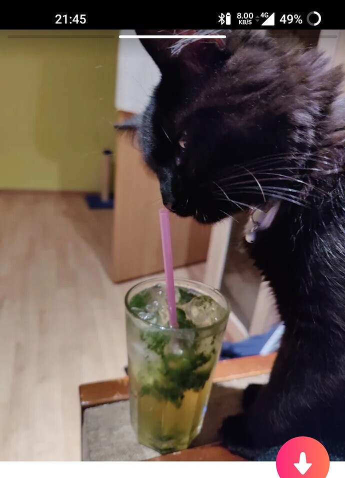 Screenshot_2022-07-04-21-46-00-71_fe657d718f12c74f5142081a66e15273