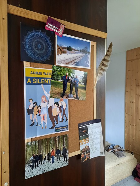 17182999320101694990855972487574