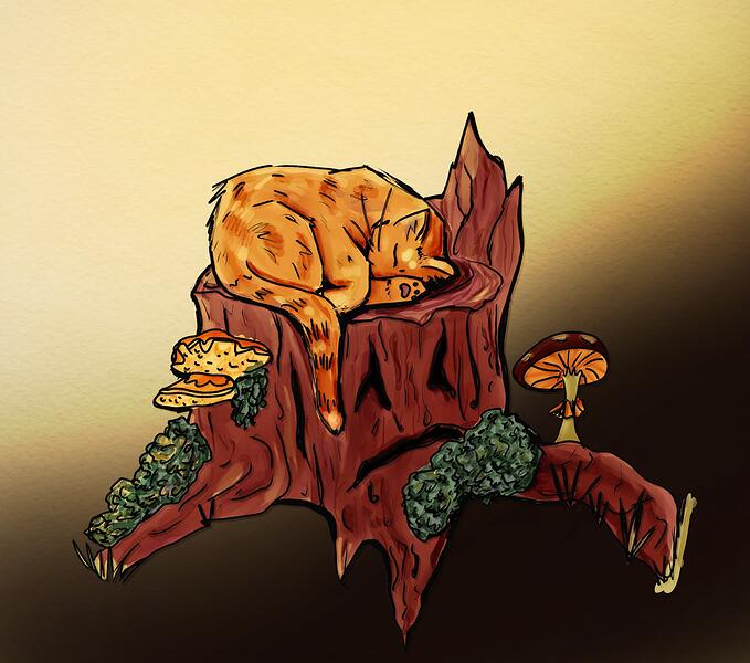 fall challenge 1