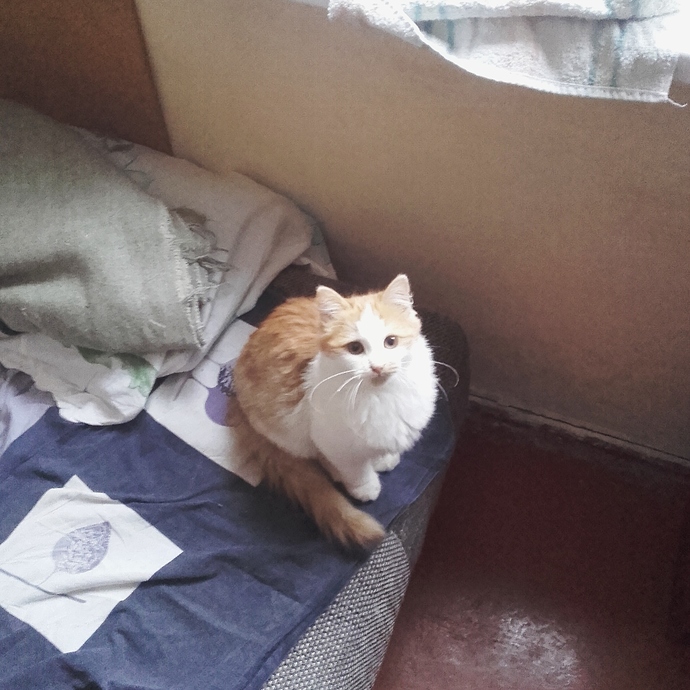 IMG_20190223_140522_412