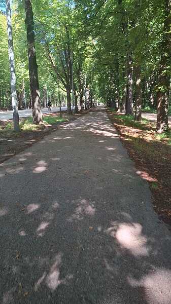 WhatsApp Image 2025-07-19 at 00.10.46 (1)