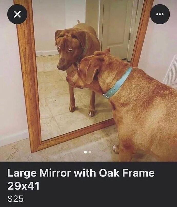 SmartSelect_20230907_080739_Instagram