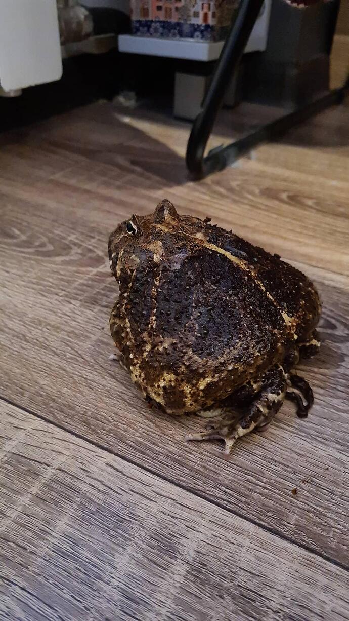 IMG_20210214_212053_693