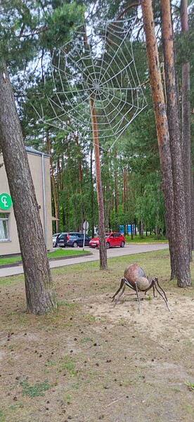 IMG_20240610_150047