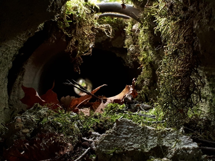 WhatsApp Image 2020-11-24 at 19.34.11