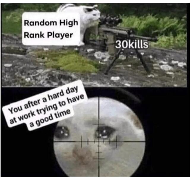 1000033094