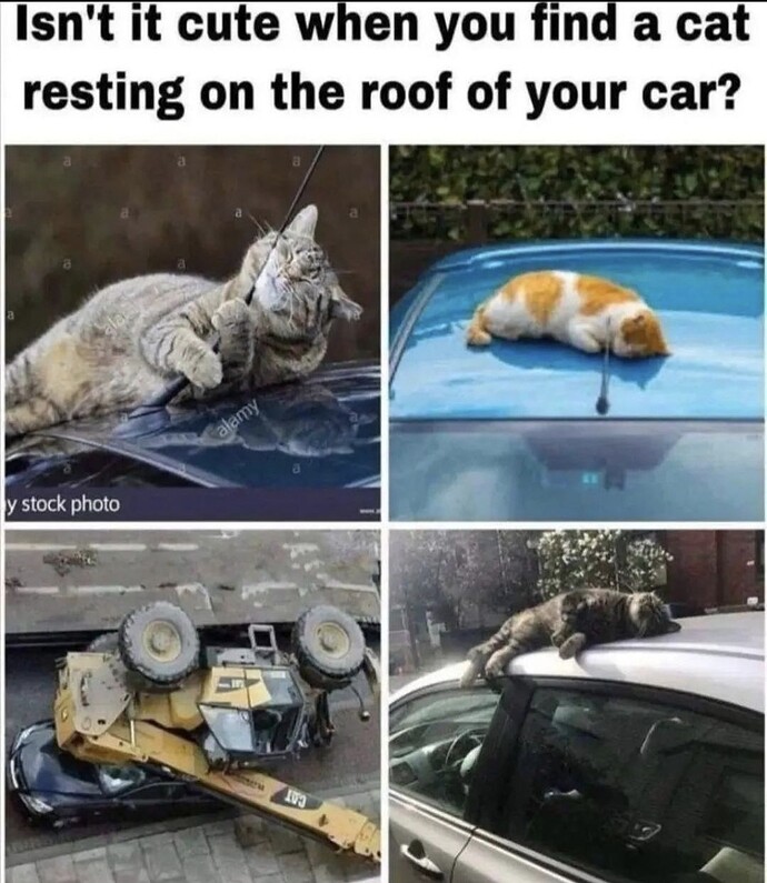 1000005641