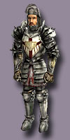 paladinruestung