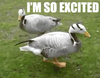 Happy Duck GIF