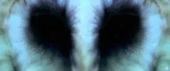 Untitled-3
