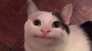 17454000569722782229744260917172