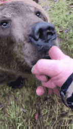 GIF-210103_102600