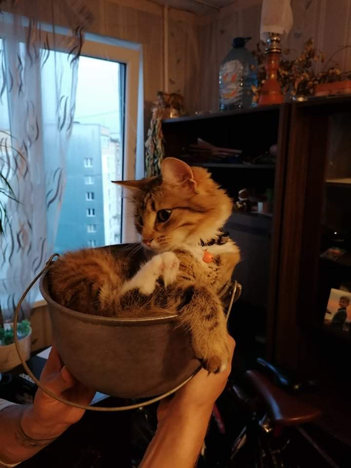 received_192561685395751