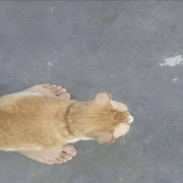 1000007475