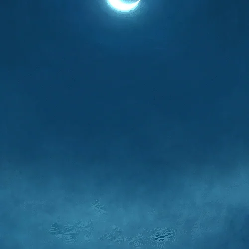 Chinese New Year Good Luck GIF by IWC Schaffhausen